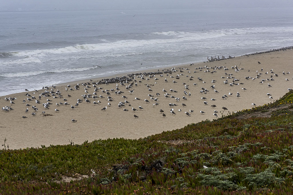 California State Parks