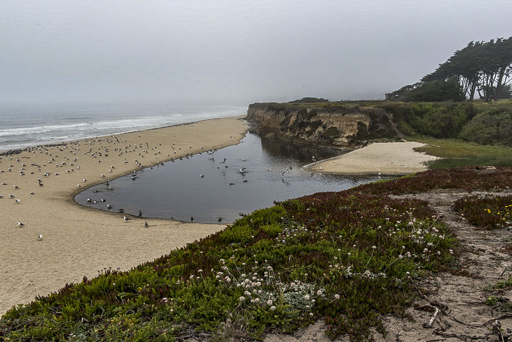 Sweetwood Group Campground