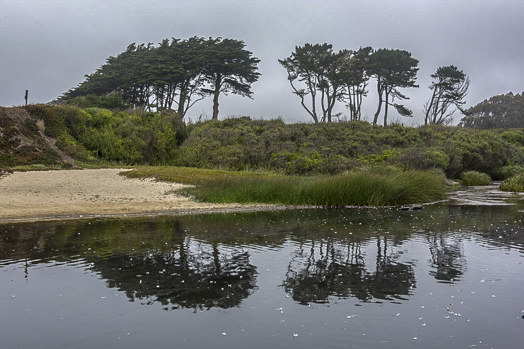 Francis Beach Campground