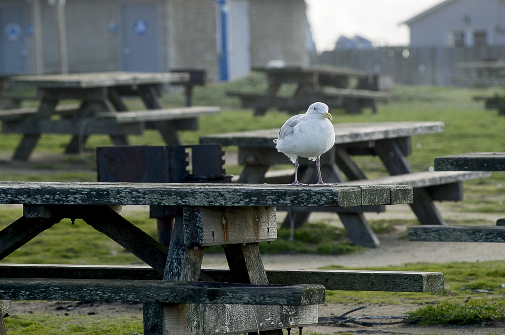 Sweetwood Group Campground