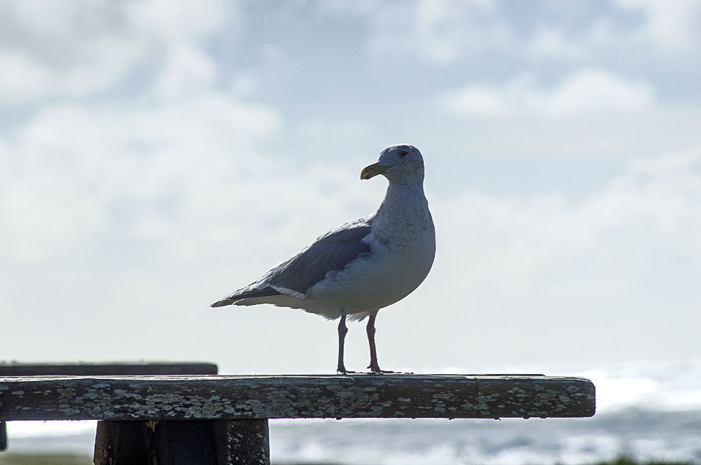 California State Parks
