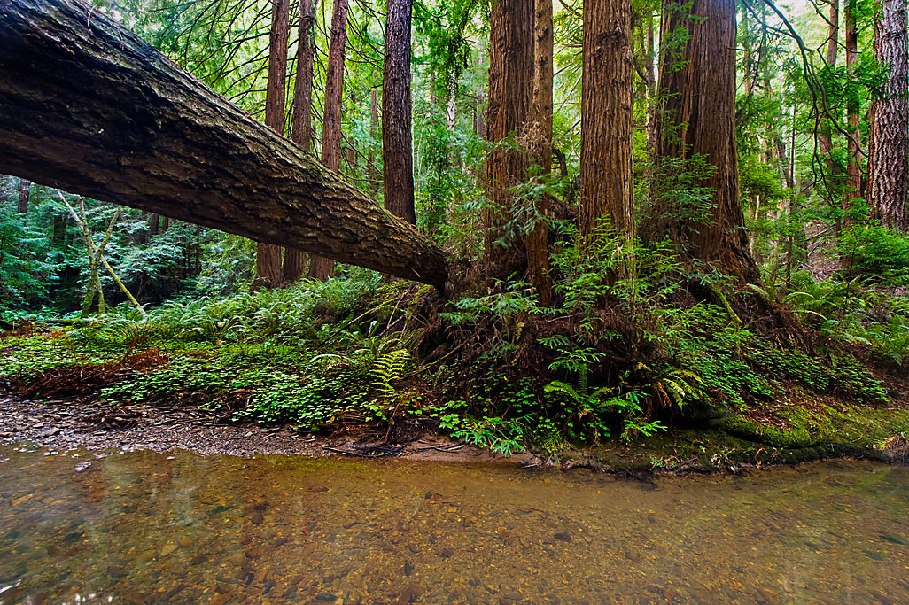 California State Parks