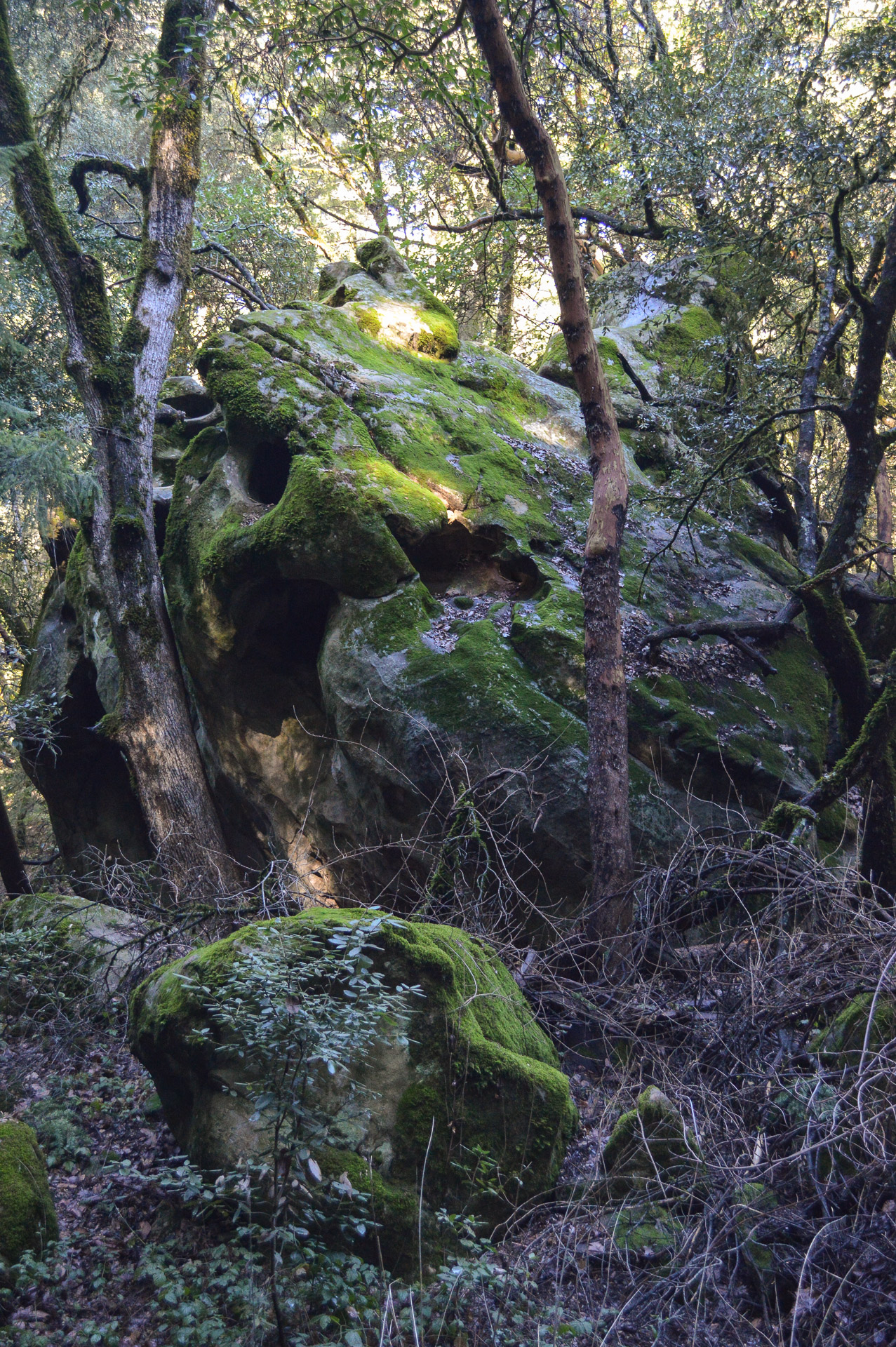 California State Parks