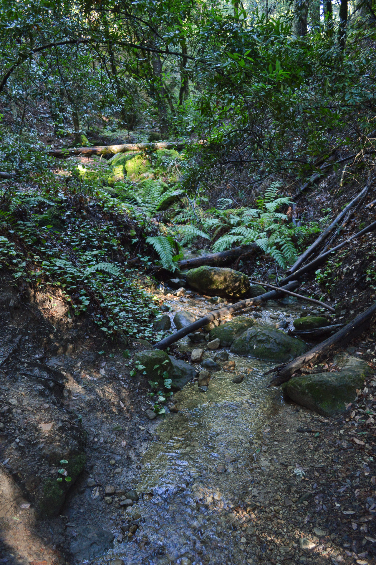 Waterman Gap Trail Campground