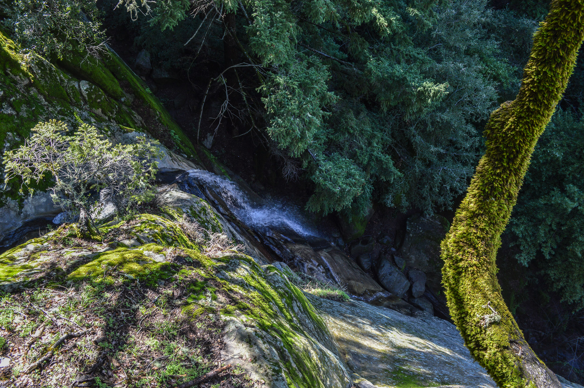 Waterman Gap Trail Campground