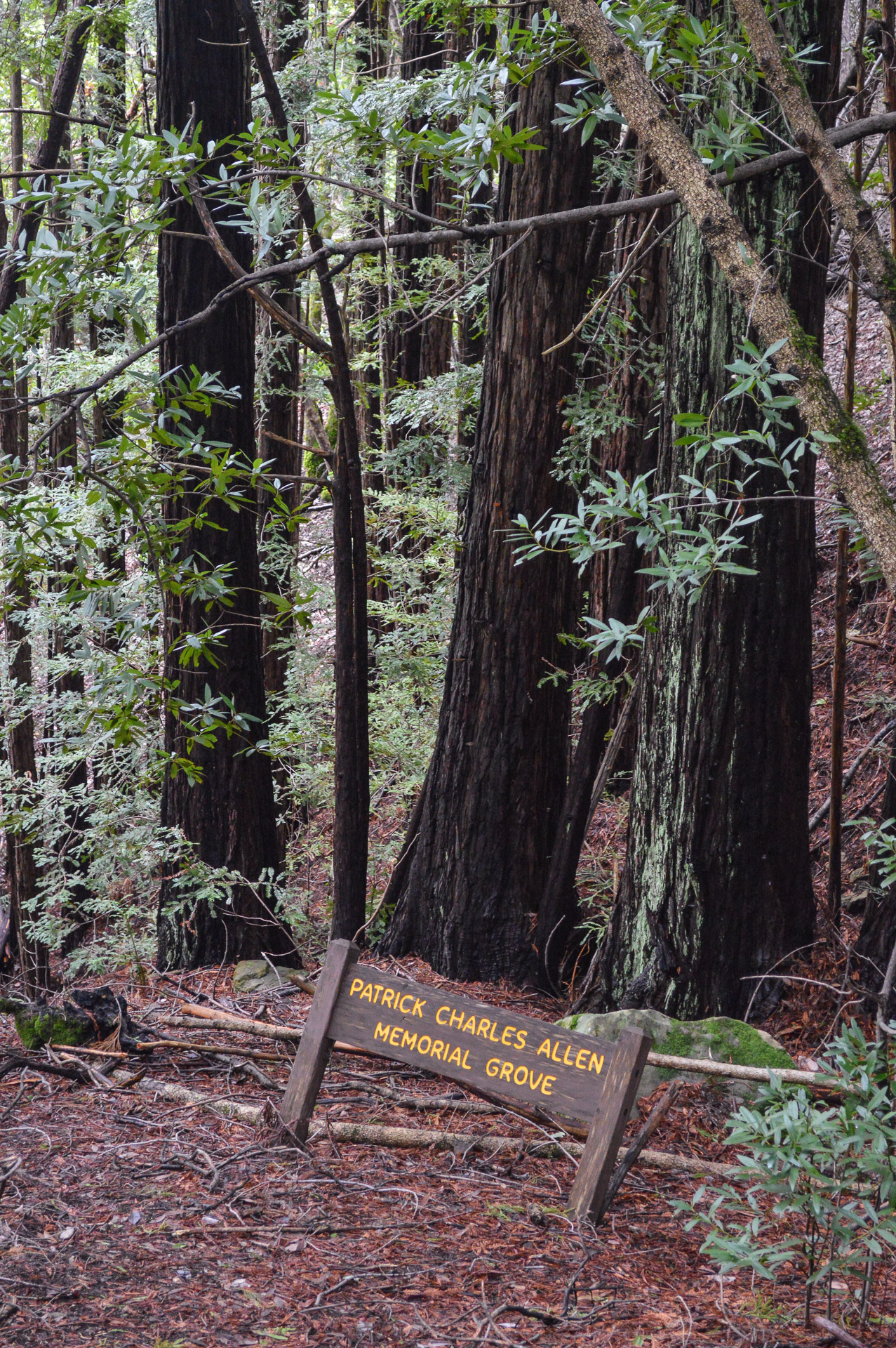 Waterman Gap Trail Campground