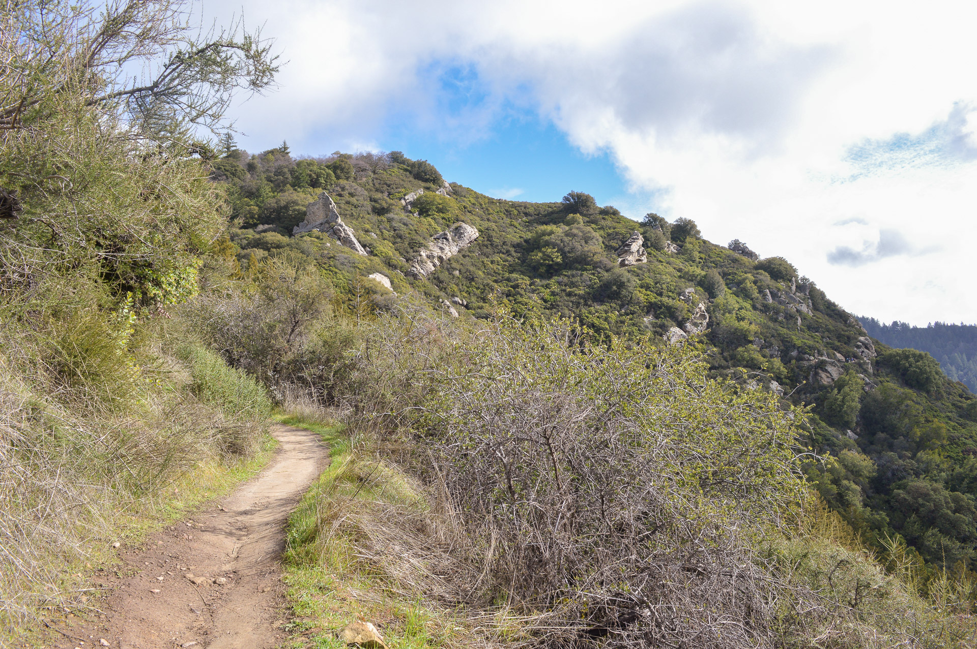 California State Parks