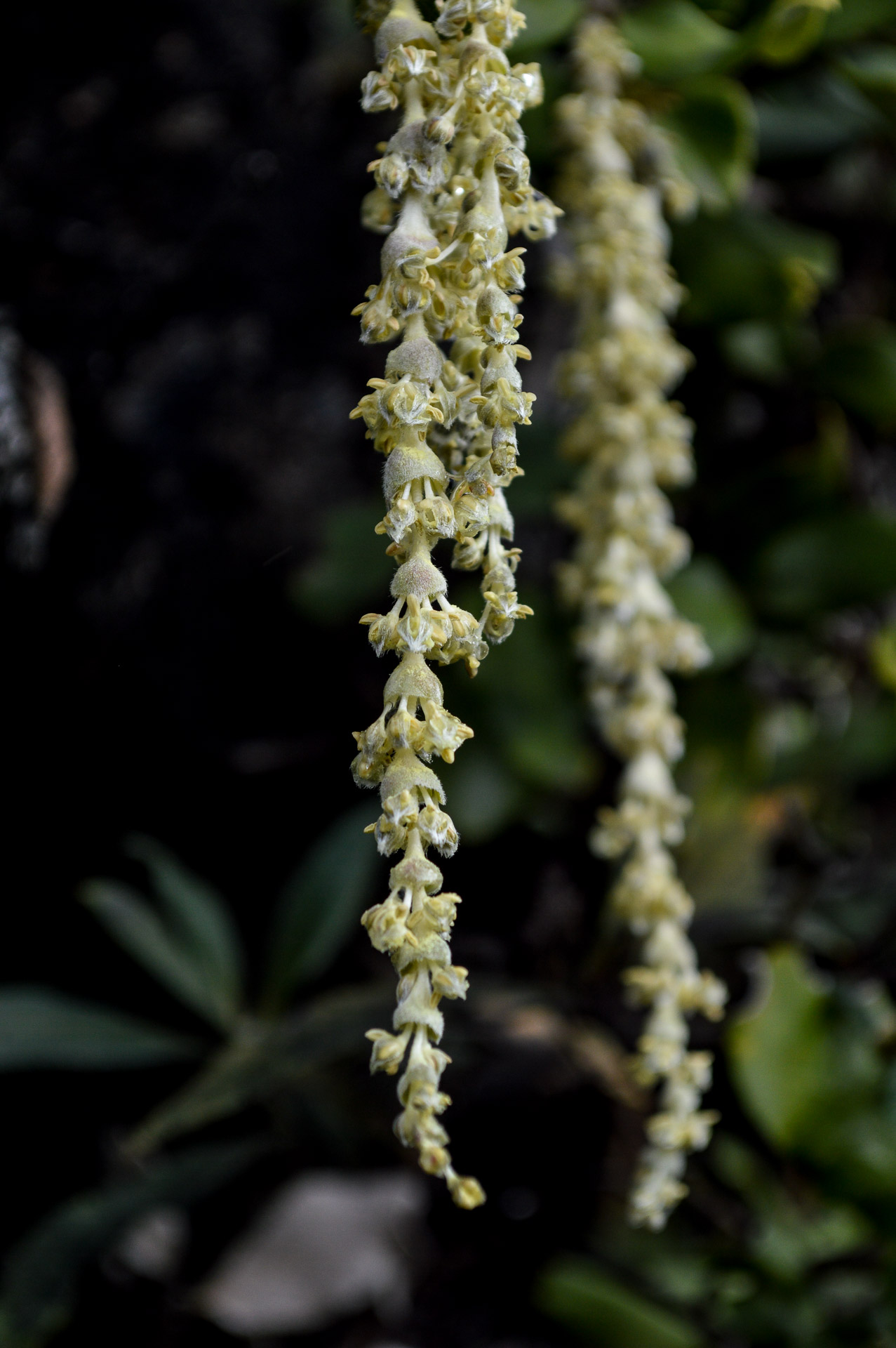 California State Parks