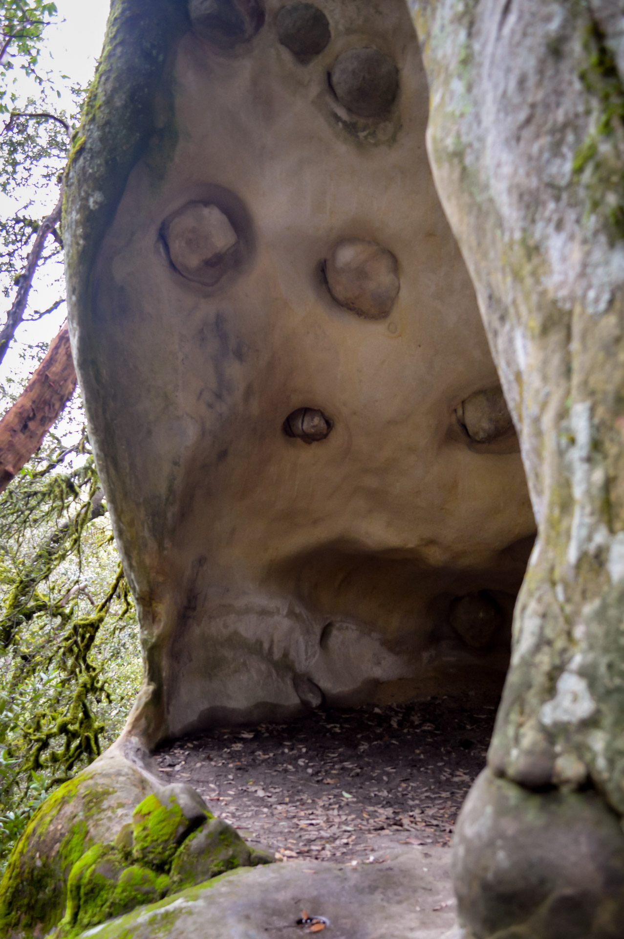 California State Parks