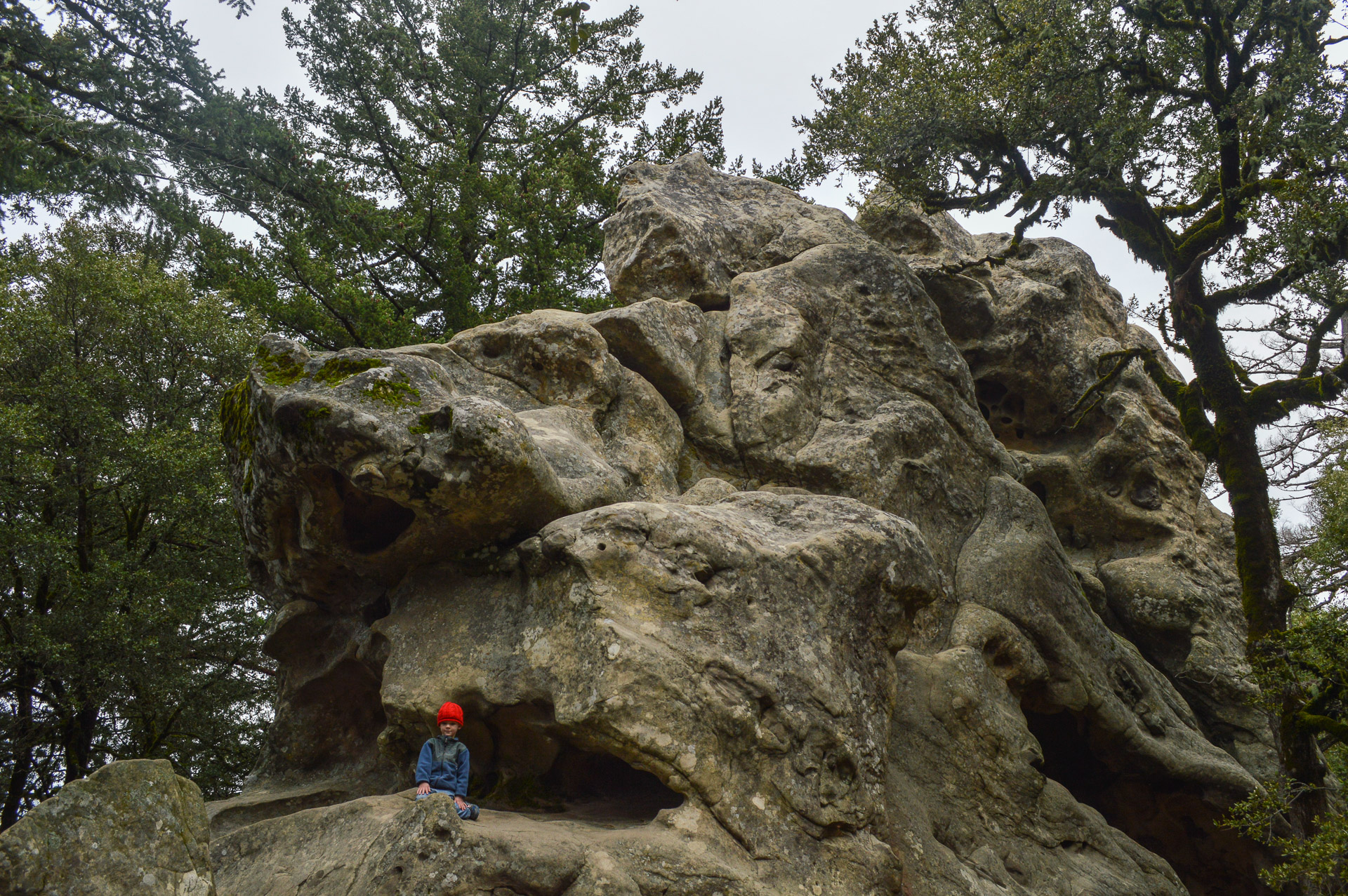 California State Parks