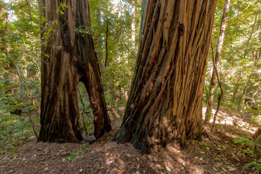 Hike And Bike Campsites