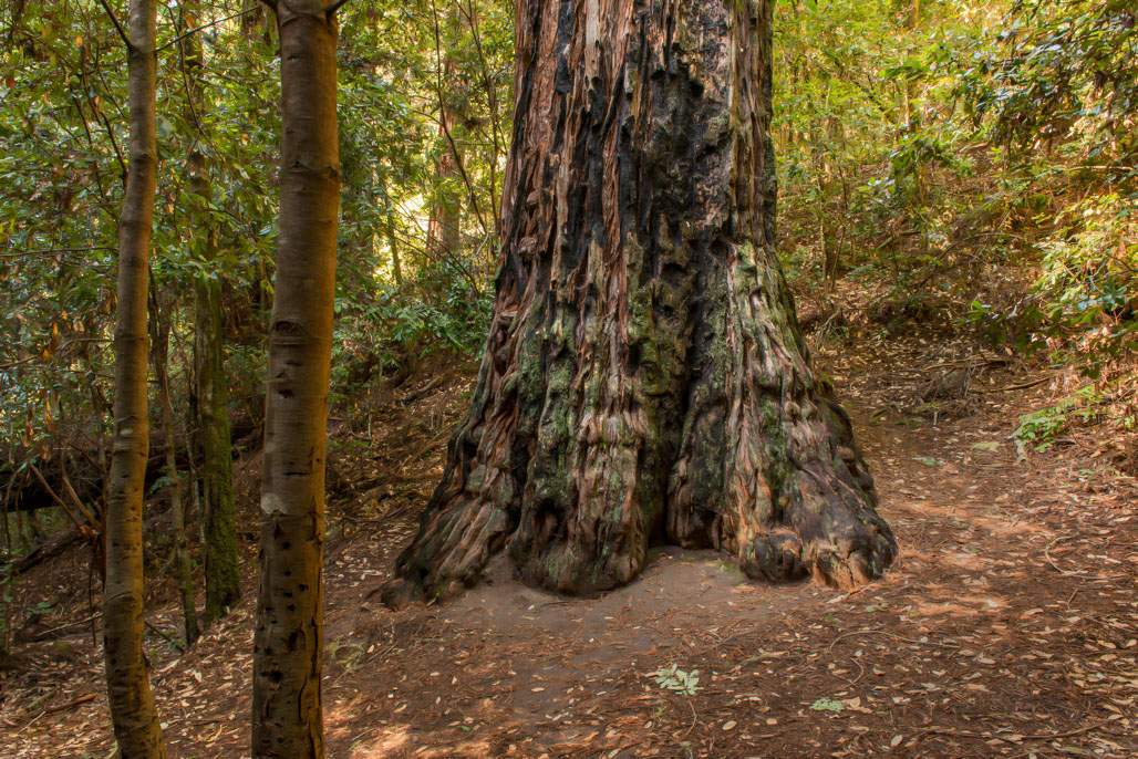 California State Parks
