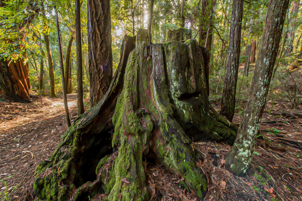 California State Parks