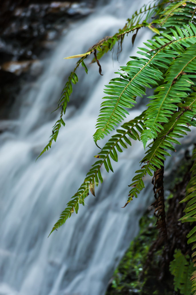 Hike And Bike Campsites