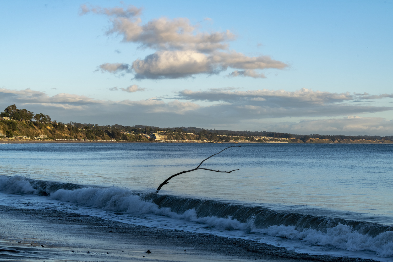 New Brighton State Beach Group Campground