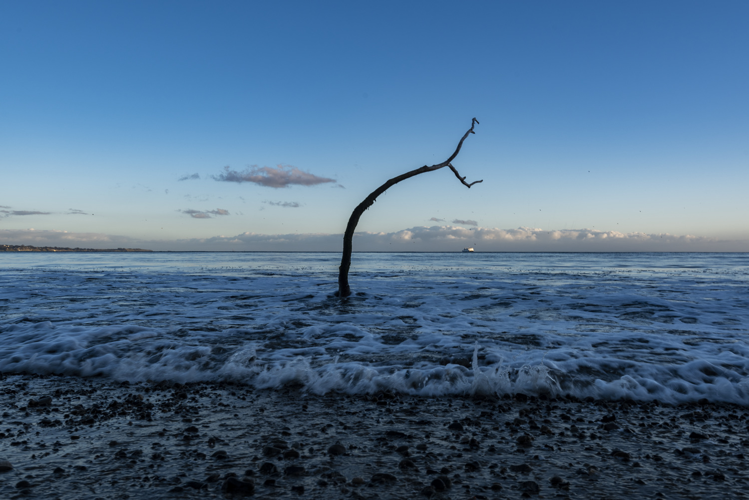 New Brighton State Beach Campground