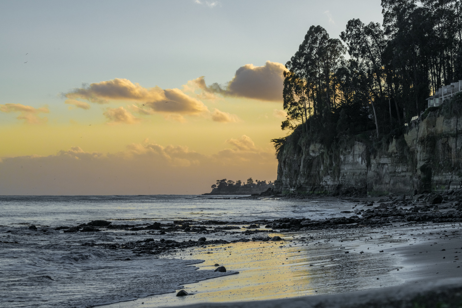 New Brighton State Beach Group Campground