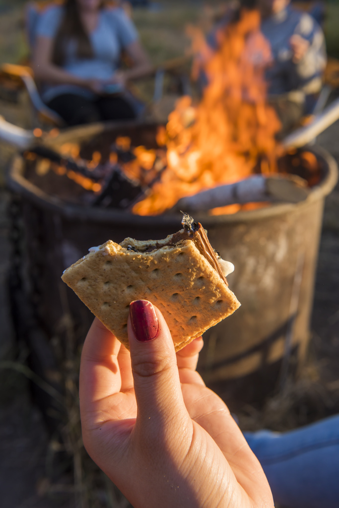 New Brighton State Beach Group Campground
