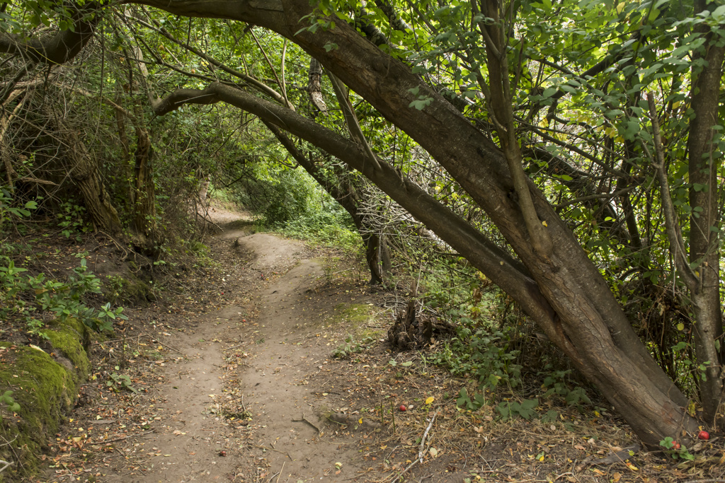 California State Parks