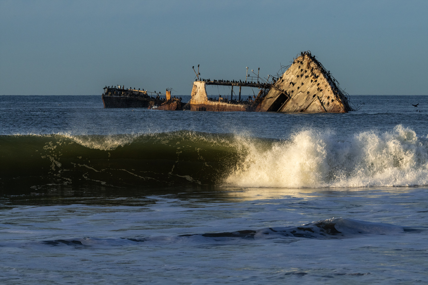Seacliff State Beach Campground