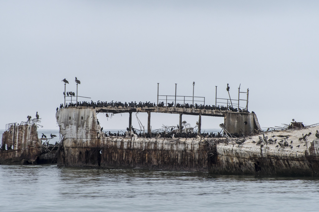 Seacliff State Beach Campground
