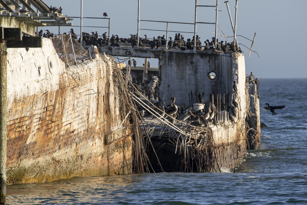 California State Parks