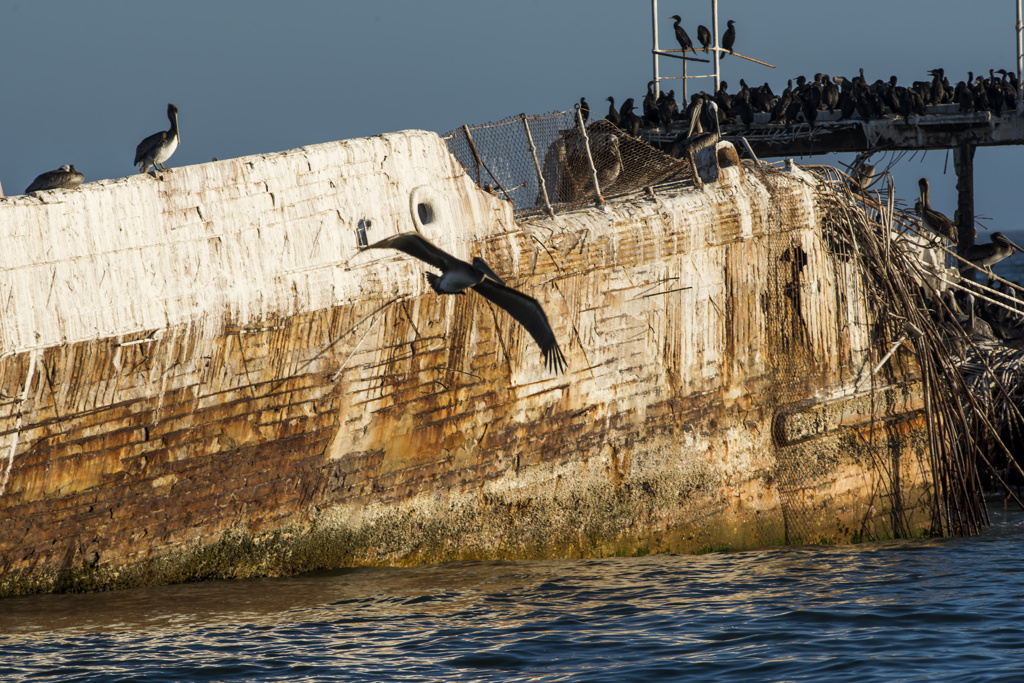 Seacliff State Beach Campground