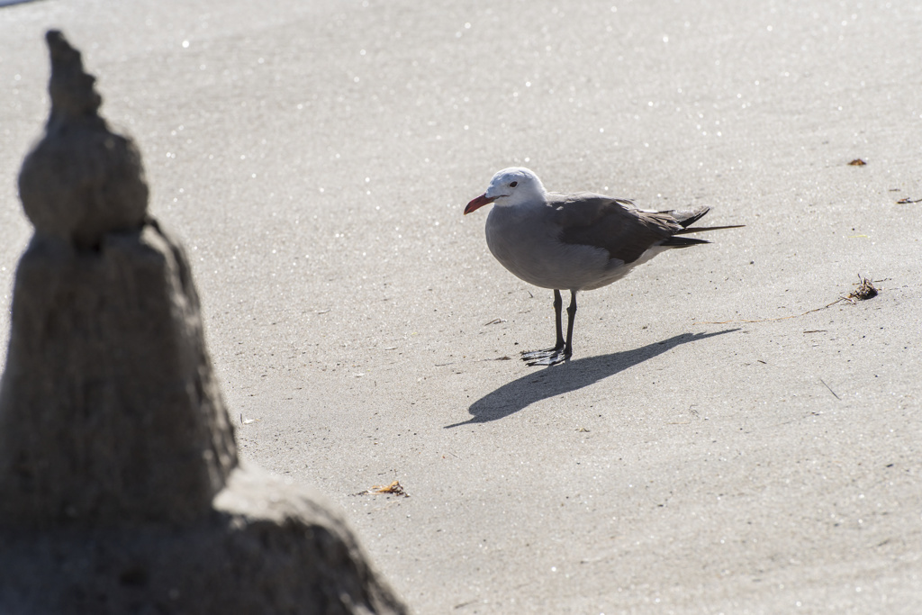 California State Parks