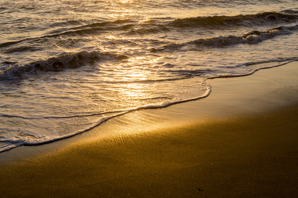 Sunset State Beach Campground