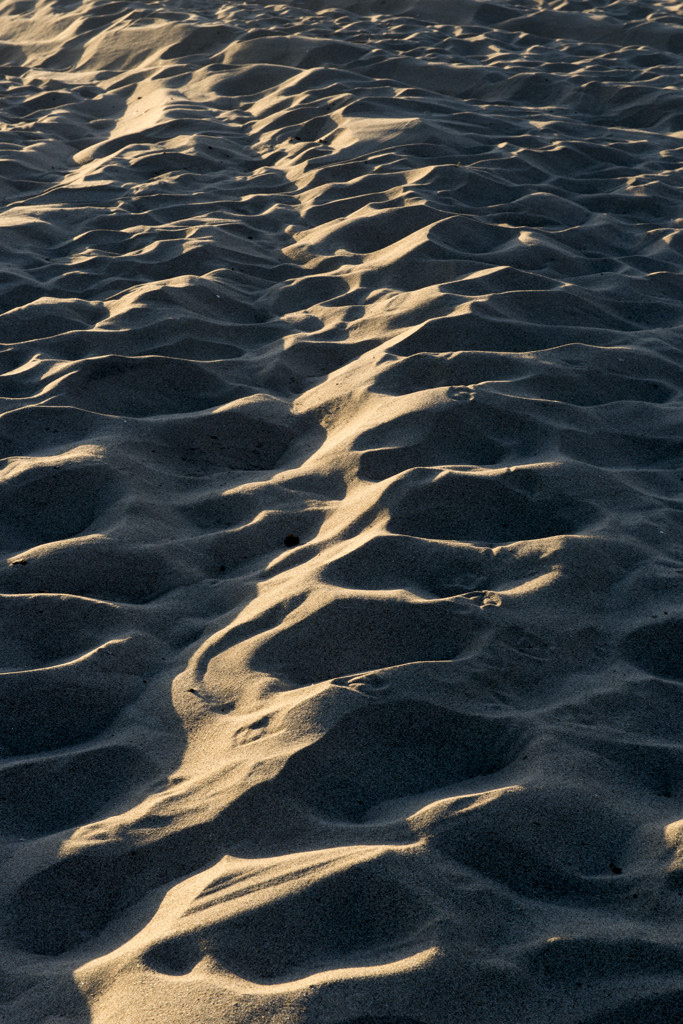 California State Parks