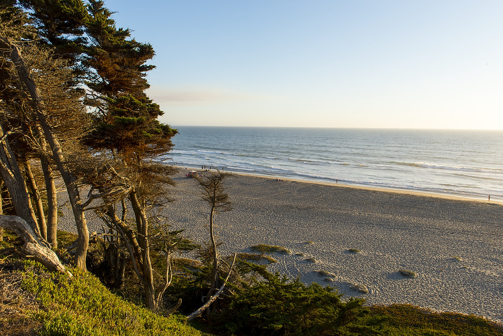 Manresa State Beach Campground