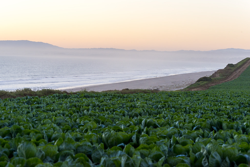 California State Parks