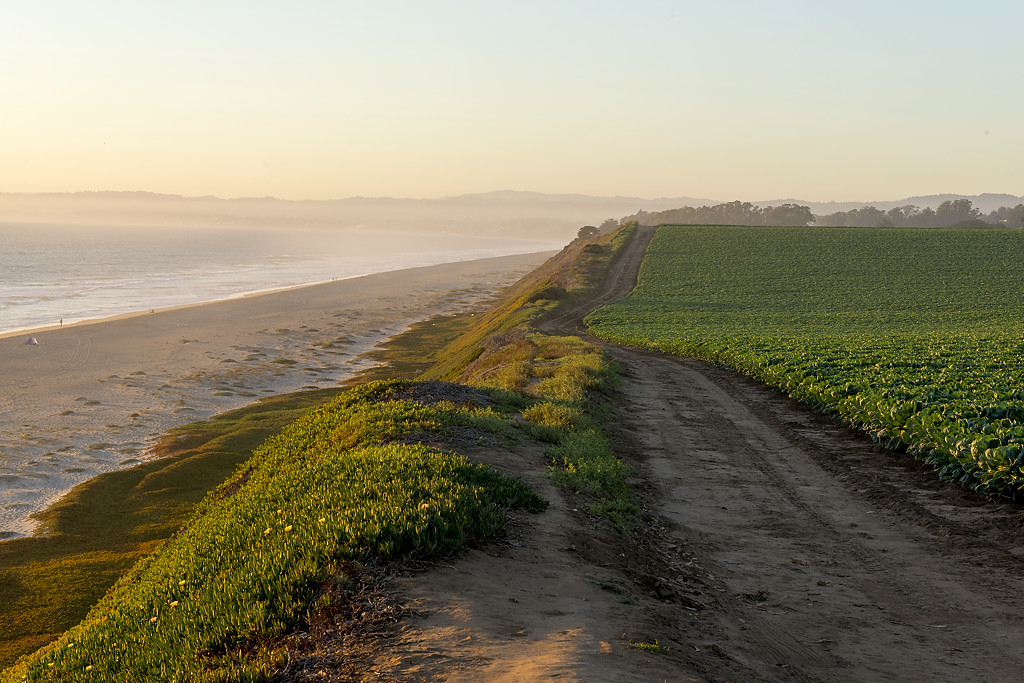 Manresa State Beach Campground