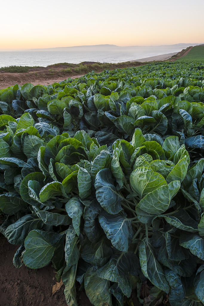 California State Parks