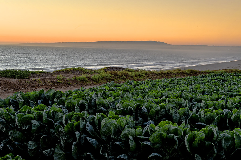 California State Parks