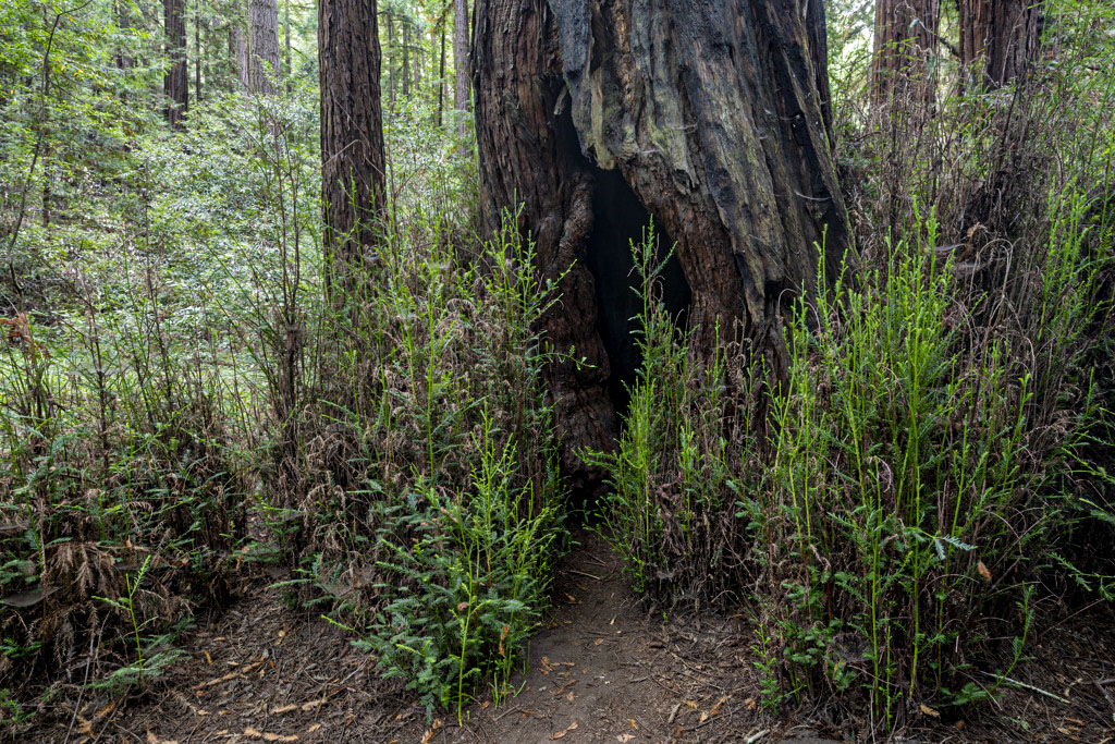 California State Parks