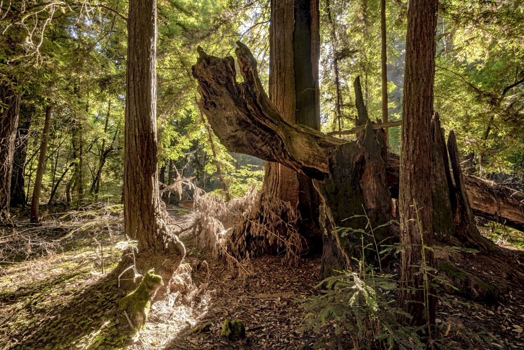 California State Parks