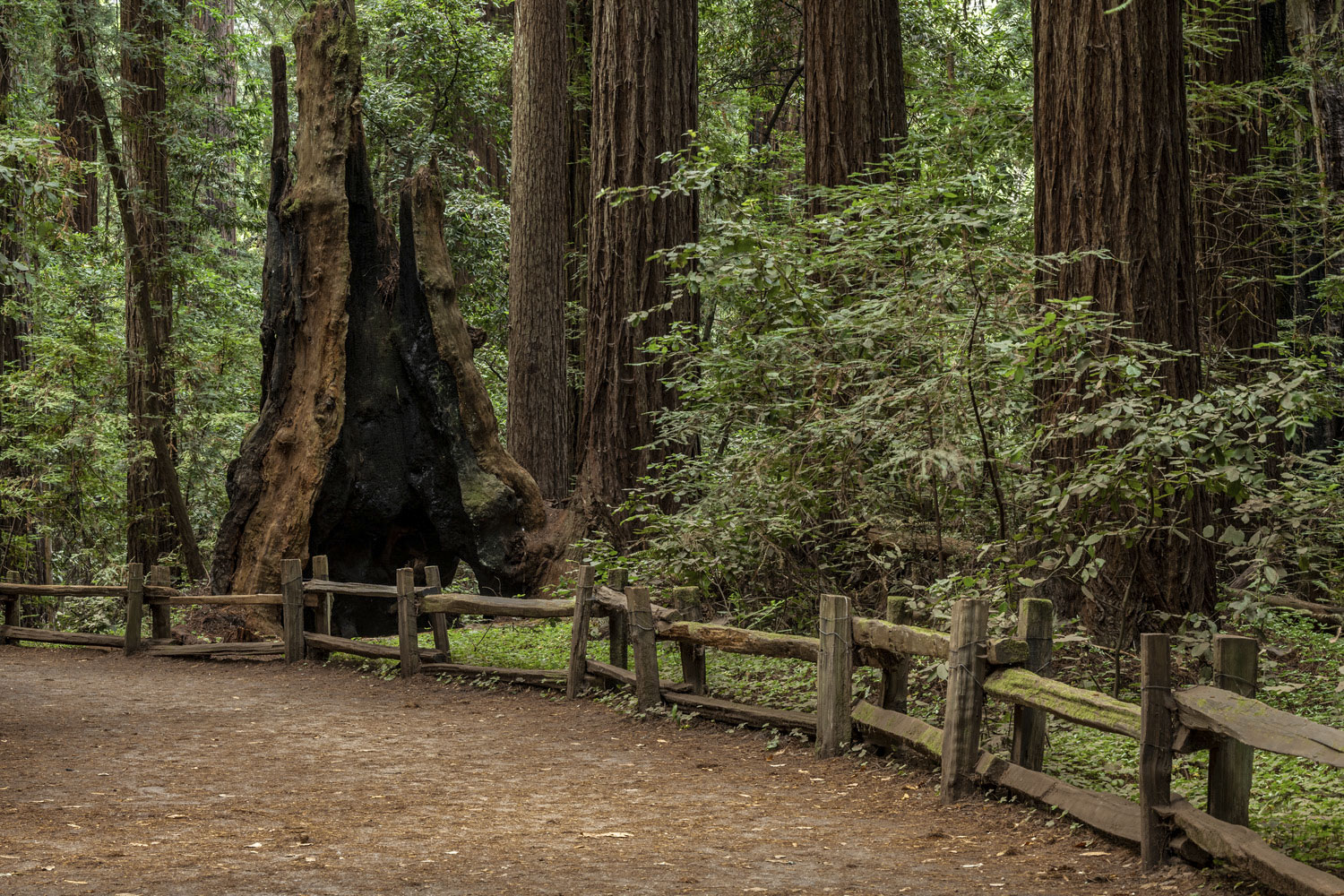 California State Parks