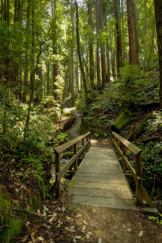 California State Parks