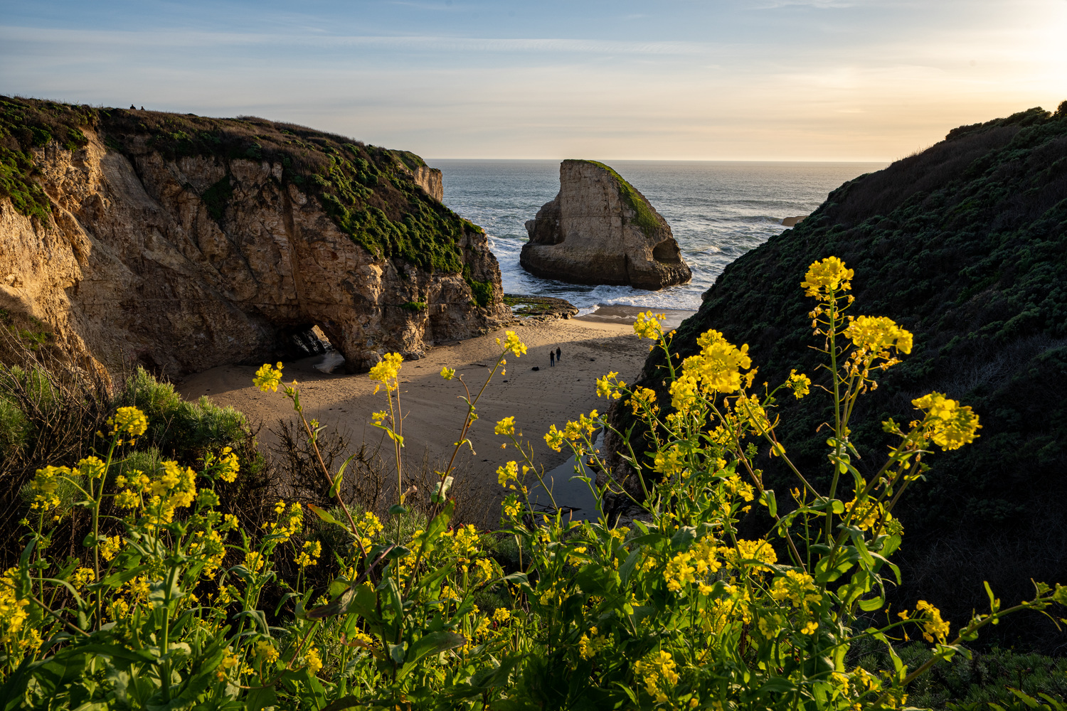 Wilder Ranch Campground