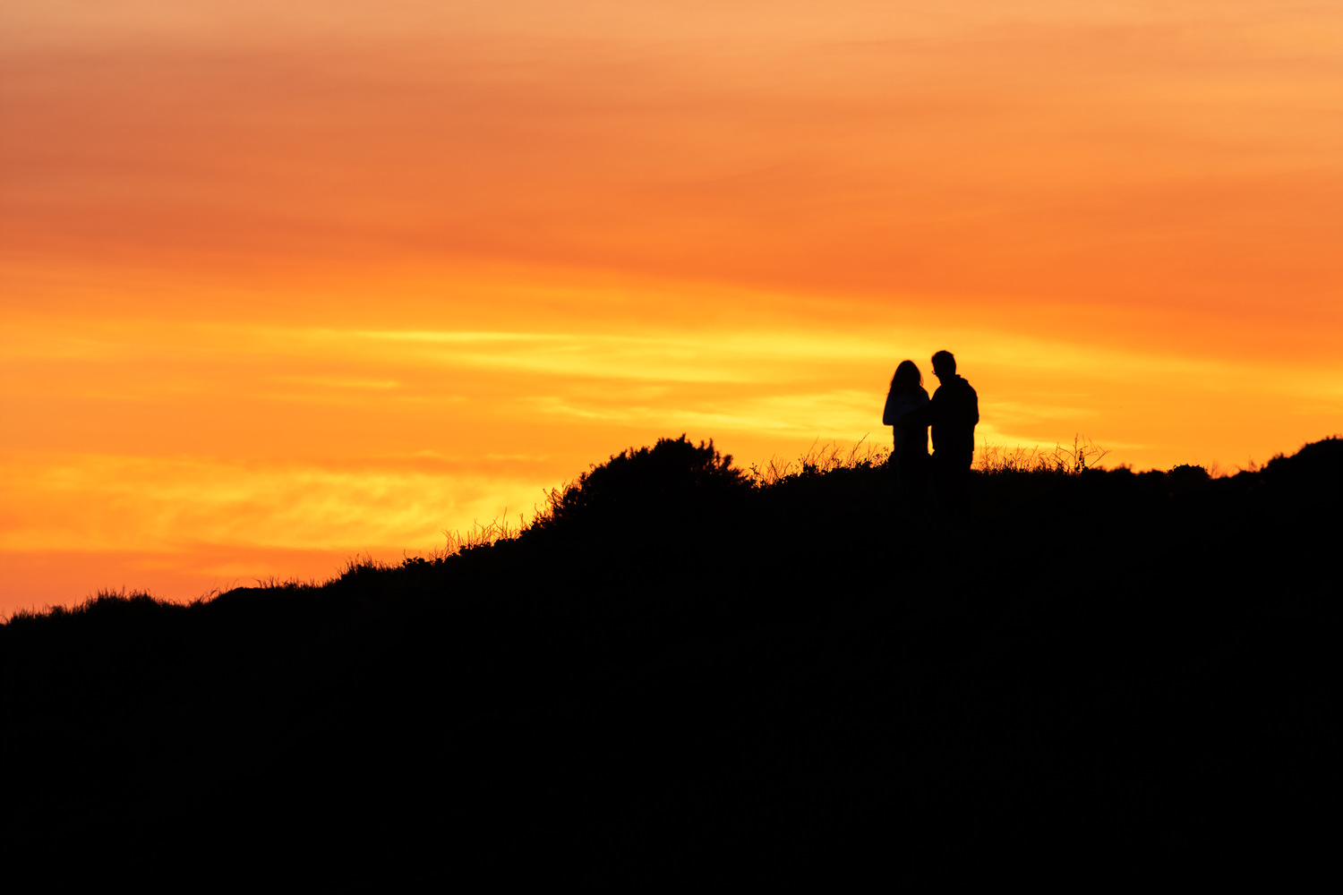 California State Parks