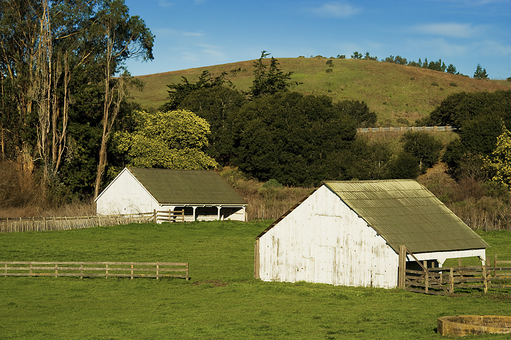 Wilder Ranch Campground