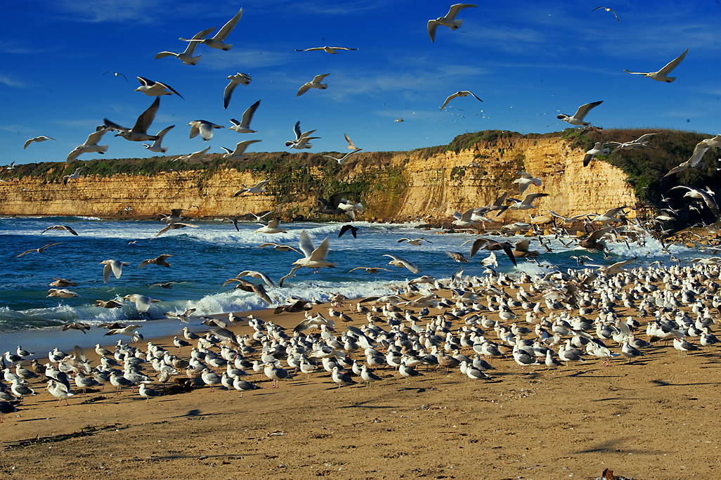 California State Parks