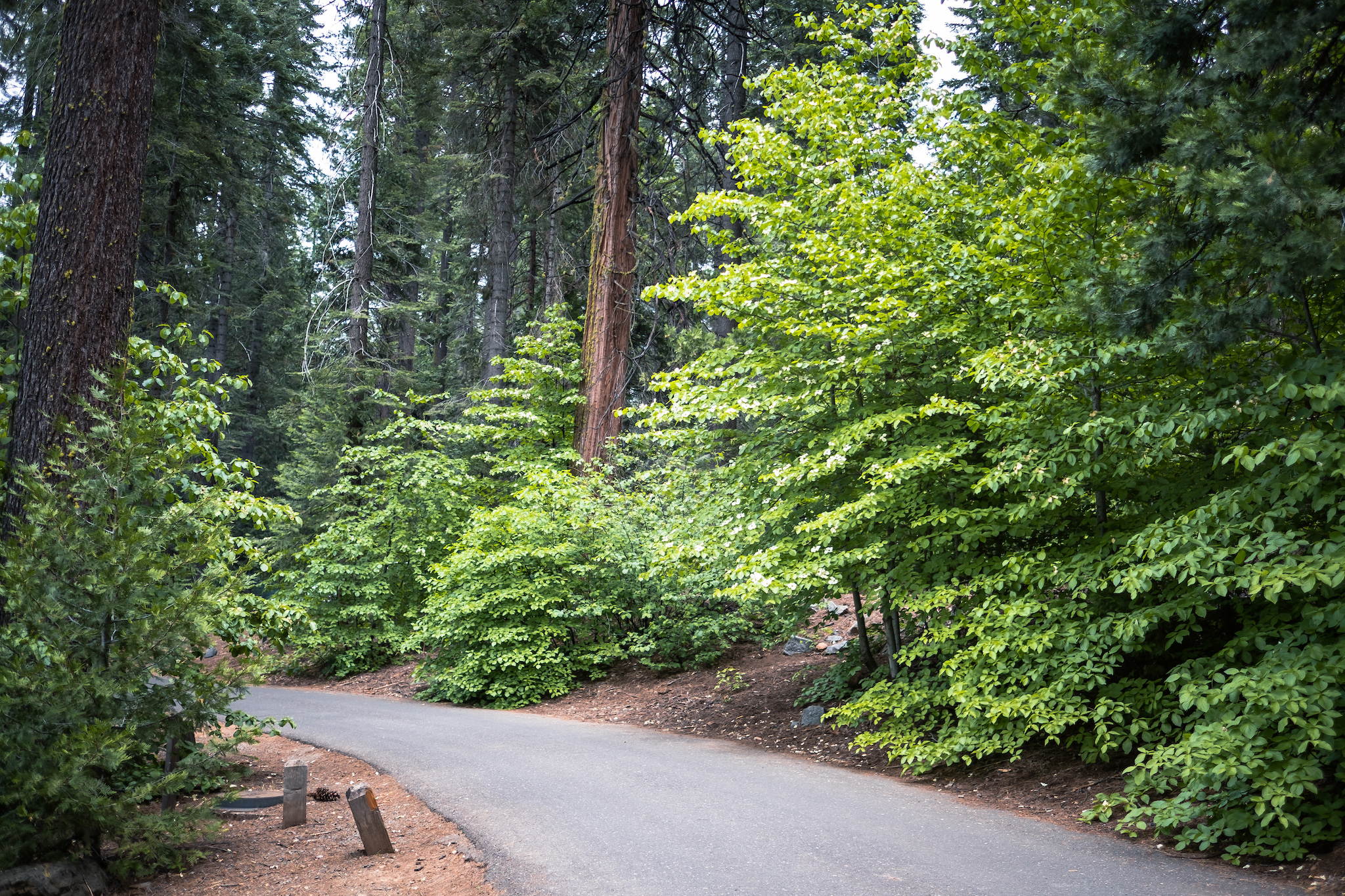 California State Parks