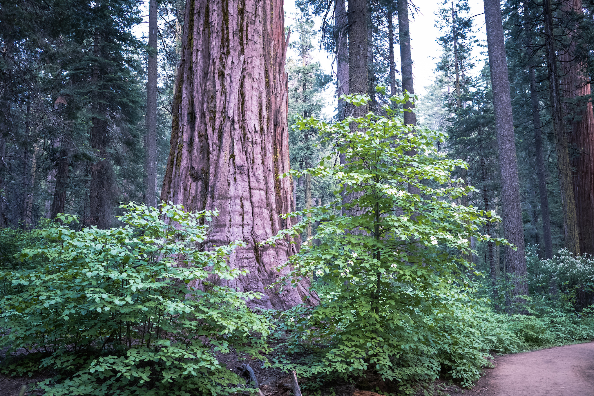 Oak Hollow Campground
