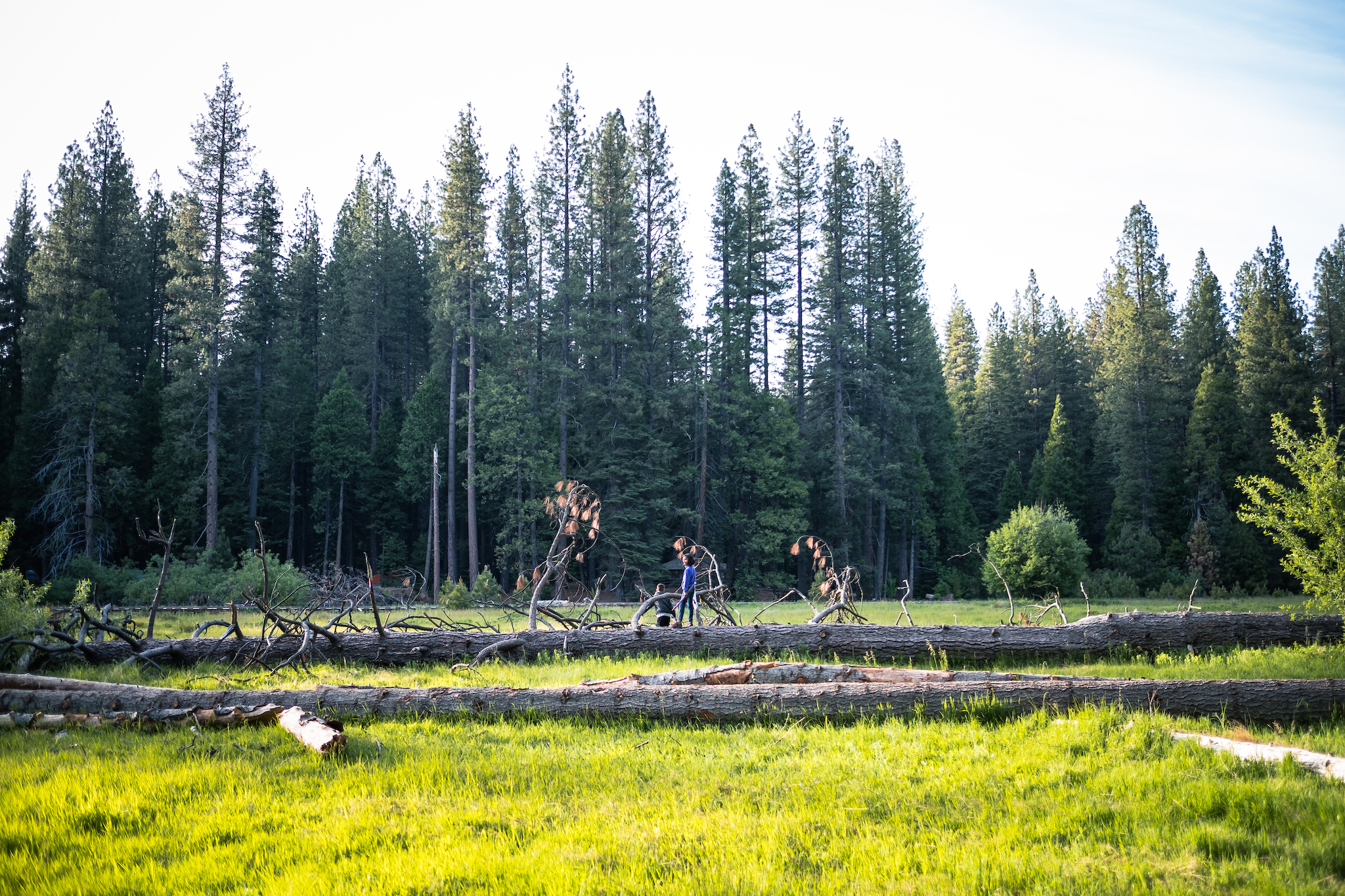 North Grove Campground