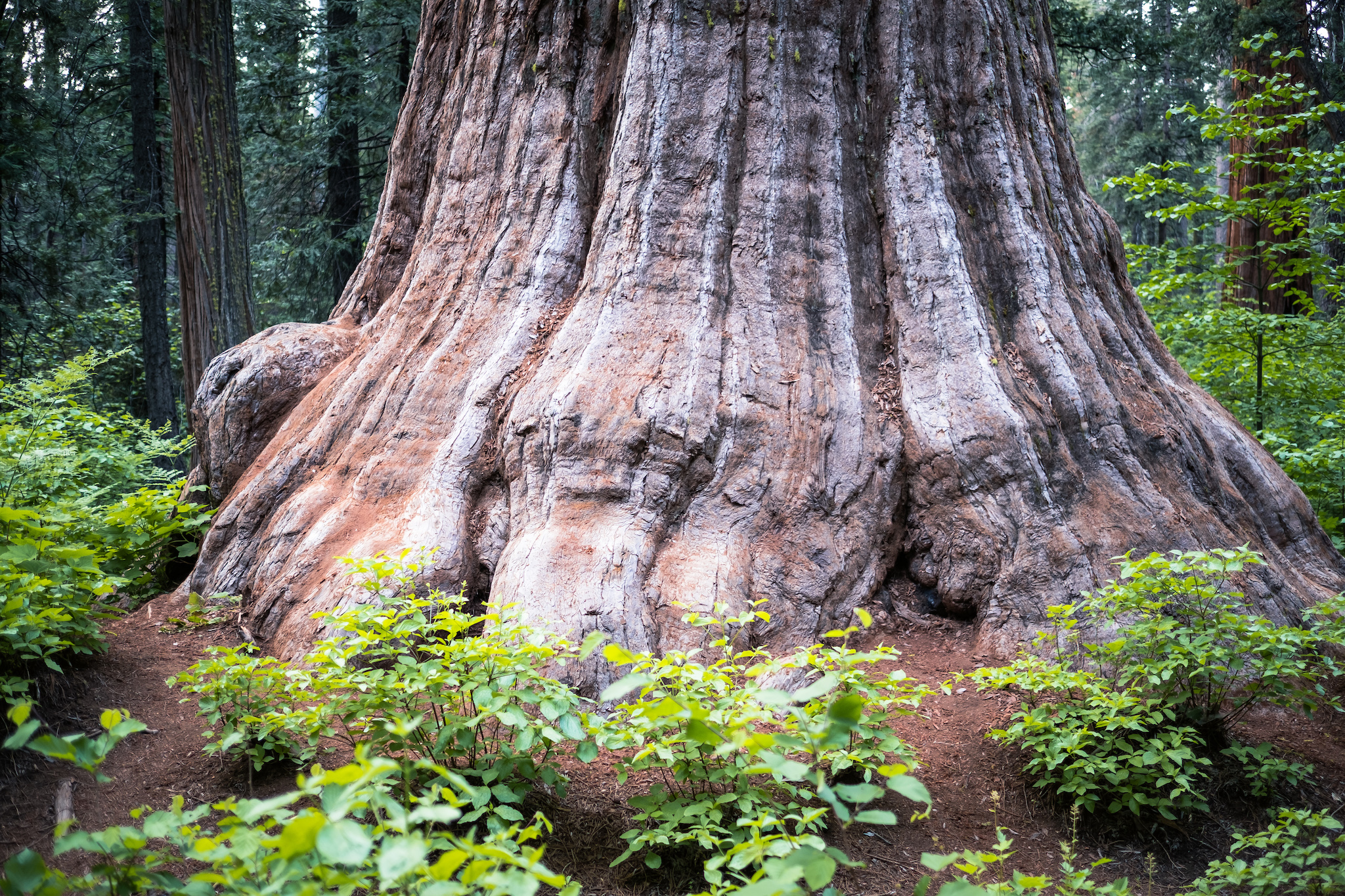 California State Parks