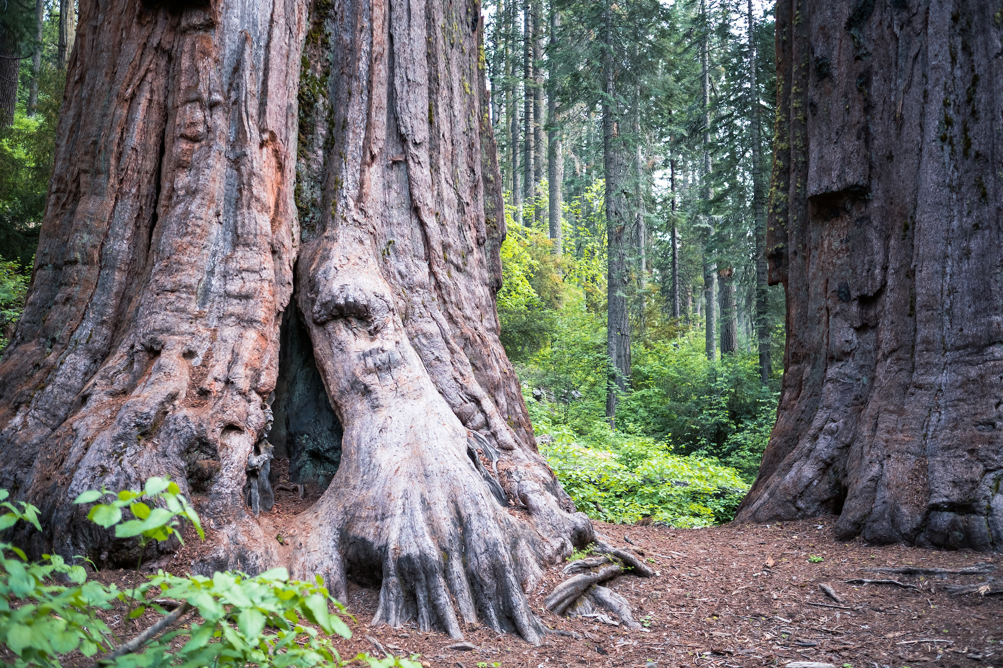 California State Parks