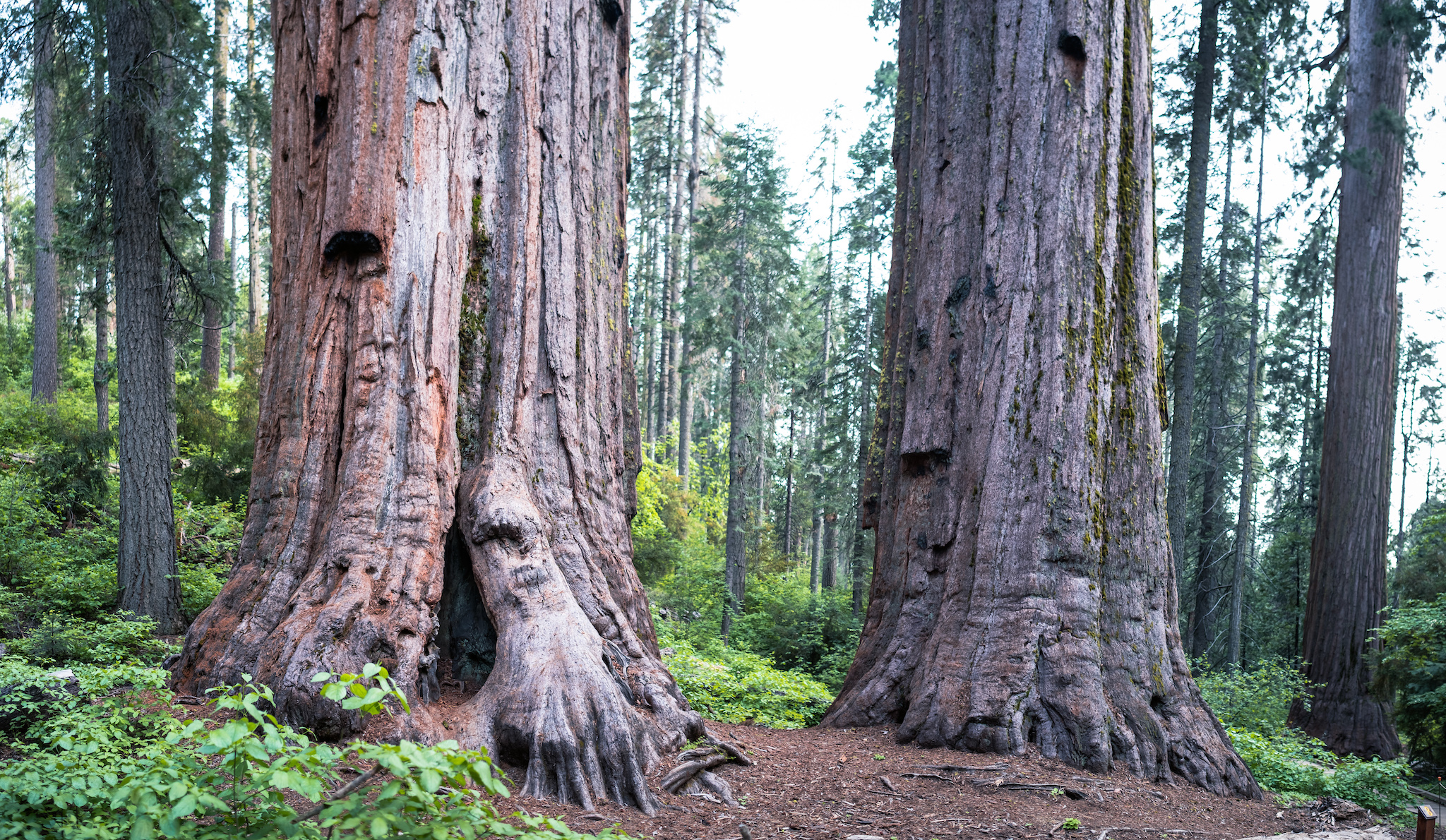 California State Parks