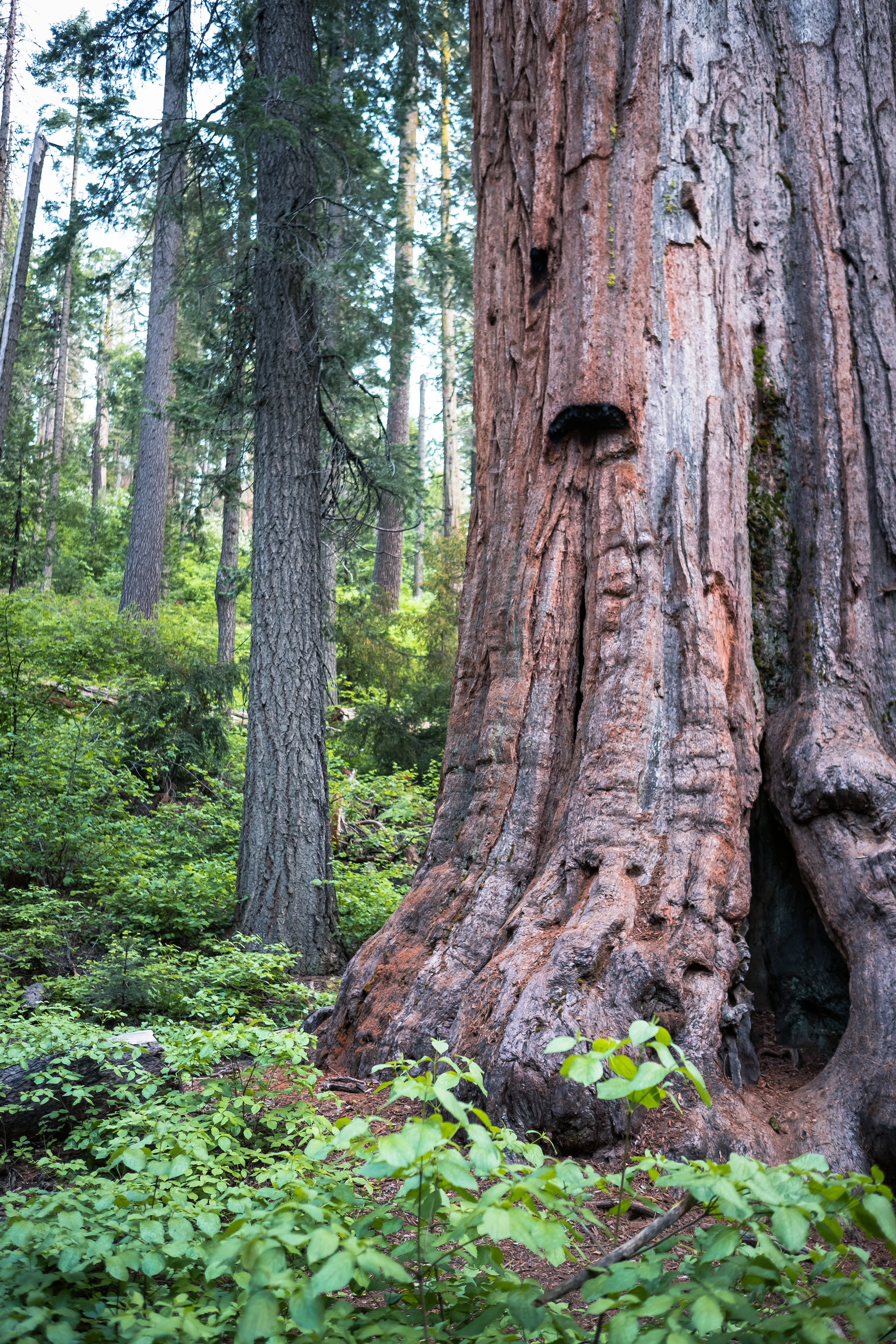 California State Parks